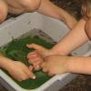 Naturfreundehaus Hannover - Kinder und  Kescher
